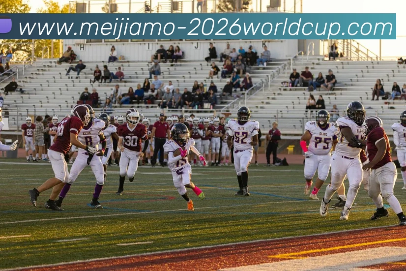 App Interface Preview