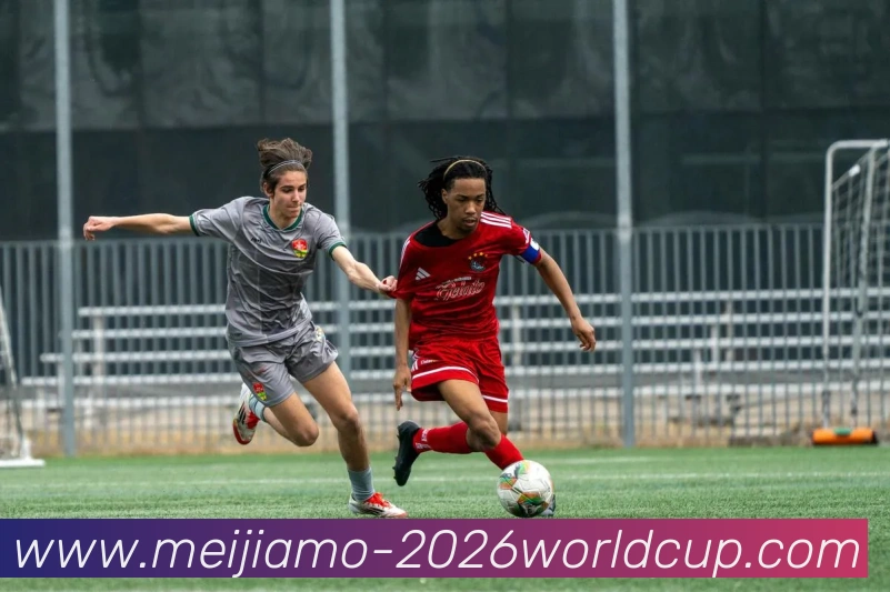 美加墨世界杯APP 封面图